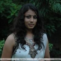 Actress Dharseni New Photo Stills | Picture 105900